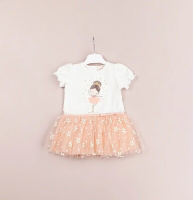 Wholesale Baby Girls Dress 9-24M BabyRose 1002-4483 - BabyRose