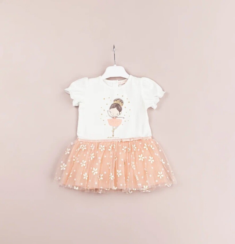 Wholesale Baby Girls Dress 9-24M BabyRose 1002-4483 - 3