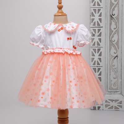 Wholesale Baby Girls Dress 9-24M Bombili 1004-6368 - 3