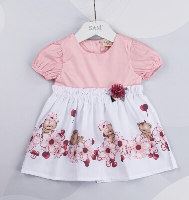 Wholesale Baby Girls Dress 9-24M Sani 1068-6950 - Sani