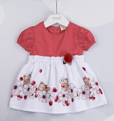 Wholesale Baby Girls Dress 9-24M Sani 1068-6950 - Sani (1)