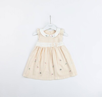Wholesale Baby Girls Dress 9-24M Sani 1068-9933 - Sani (1)