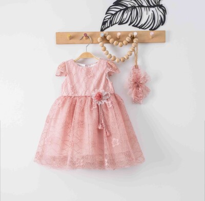 Wholesale Baby Girls Dress with Lacy 9-24M Eray Kids 1044-9301 - Eray Kids (1)