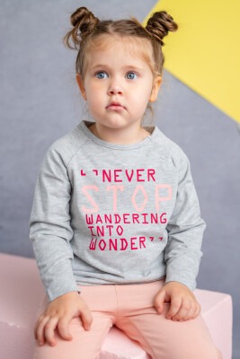 Wholesale Baby Girls Long Sleeve T-shirt 9-36M Zeyland 1070-211Z2OST55 - 1