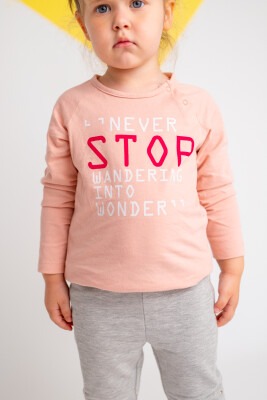 Wholesale Baby Girls Long Sleeve T-shirt 9-36M Zeyland 1070-211Z2OST55 - 2