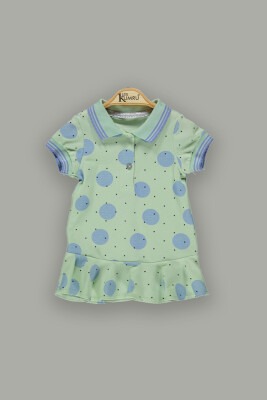 Wholesale Baby Girls Patterned Dress 6-18M Kumru Bebe 1075-3743 Mint Green 
