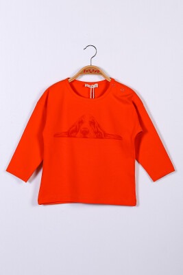 Wholesale Baby Girls Printed T-shirt 9-36M Zeyland 1070-221Z2LPY66 - 2