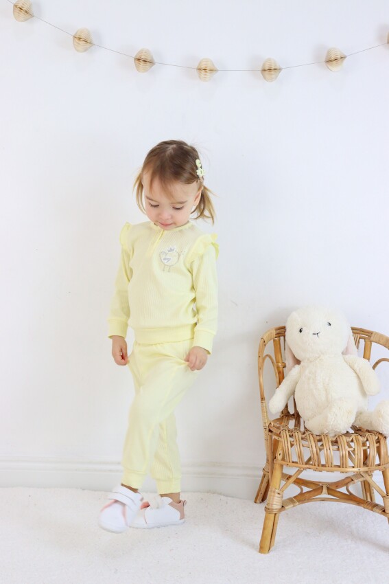 Wholesale Baby Girls Tracksuit Set 3-12M Serkon Baby&Kids 1084-M1890 - 1