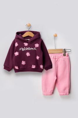 Wholesale Baby Girls Tracksuit Set 6-18M Tuffy 1099-01013 - 3