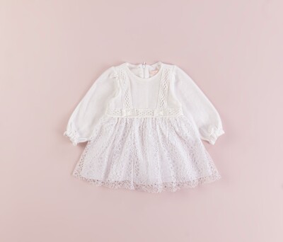 Wholesale Baby Girls Tulle Dress 6-18M BabyRose 1002-4322 - 2