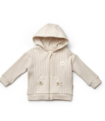 Wholesale Baby Hooded Jacket 3-6M BabyCosy 2022-CSY8118 - 1