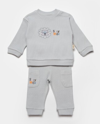 Wholesale Baby Unisex 2-Pieces Sweatshirt and Pants Set 3-24M BabyCosy 2022-CSYW1024 - 1