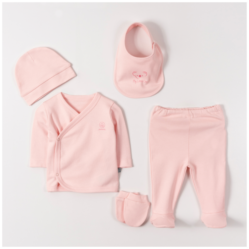 Wholesale Unisex Baby 5-Piece Newborn Set 0-1M Pambuliq 2030-6185 - 3