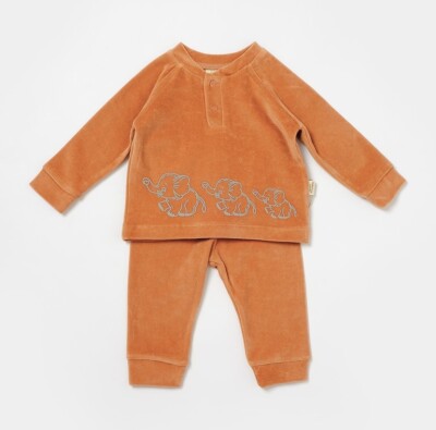 Wholesale Baby 2-Piece Velvet Sweatshirt and Pants Set 3-24M Baby Cosy 2022-CSYK6049 - Baby Cosy