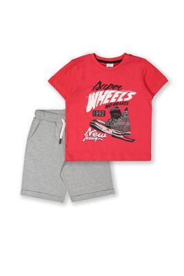 Wholesale Boys 2-Piece T-shirt and Shorts Set 3-6Y Elnino 1025-22103 Red