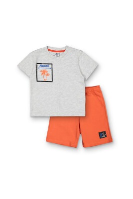 Wholesale Boys 2-Piece T-shirt and Shorts Set 3-6Y Elnino 1025-22117 - Elnino