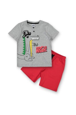 Wholesale Boys 2-Piece T-Shirt And Shorts Set 3-6Y Elnino 1025-22121 Gray