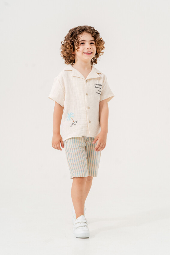 Wholesale Boys 2-Pieces Shirt and Short Set 2-5Y Tuffy 1099-1461 - 2