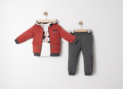 Wholesale Boys 3-Piece Tracksuit Set 1-4Y Sani 1068-20025 Tile Red 