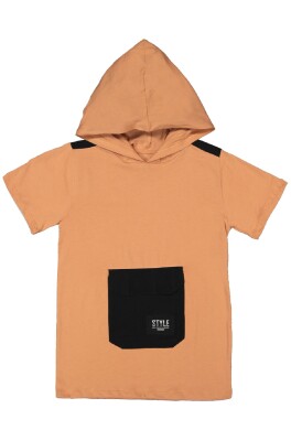 Wholesale Boys Hooded T-Shirt 6-9Y Divonette 1023-7849-3 - 4