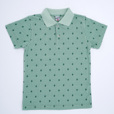 Wholesale Boys Polo Neck T-Shirt 6-9Y Pafim 2041-Y23-6515 Green