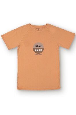 Wholesale Boys Printed T-Shirts 10-13Y Divonette 1023-7836-4 Cinnamon Color