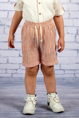 Wholesale Boys Striped Shorts 2-7Y Zeyland 1070-231M3CNL02 - Zeyland