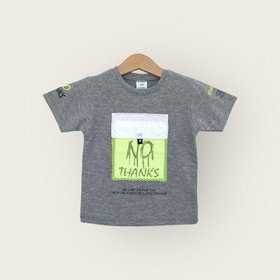 Wholesale Boys T-shirt 1-4Y Algiy Mini 2047-3361 Gray