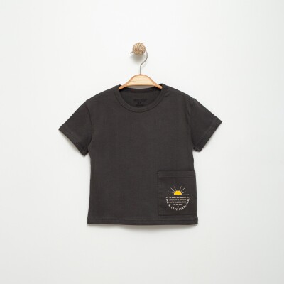 Wholesale Boys T-shirt 2-5Y Divonette 1023-6517-2 - Divonette (1)