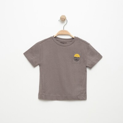 Wholesale Boys T-shirt 2-5Y Divonette 1023-6807-2 - Divonette
