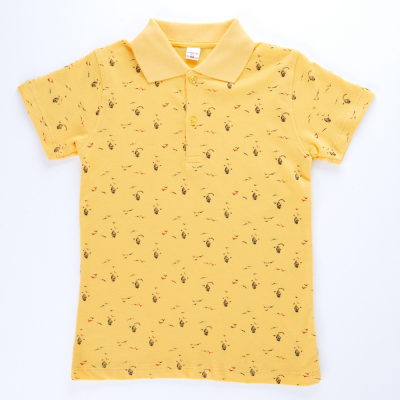 Wholesale Boys T-shirt 2-5Y Pafim 2041-Y23-6523 - Pafim (1)