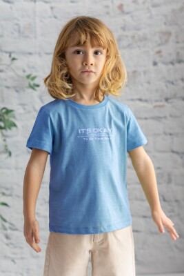 Wholesale Boys T-shirt 3-14Y Zeyland 1070-241Z3TSY51 Blue