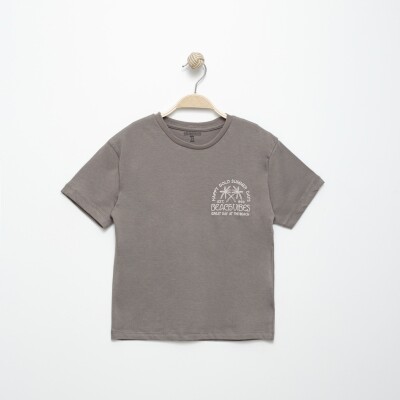 Wholesale Boys T-shirt 6-9Y Divonette 1023-6507-3 - Divonette (1)