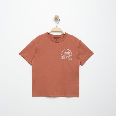 Wholesale Boys T-shirt 6-9Y Divonette 1023-6507-3 - Divonette