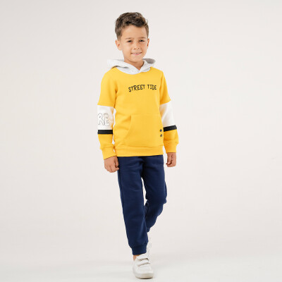 Wholesale Boy's Tracksuit Set 1-4Y Pankido 2037-9419 - Pankido