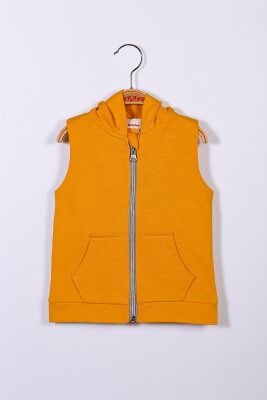 Wholesale Boys Vest with Hooded 1-4Y Zeyland 1070-221Z2LPY24 - 2