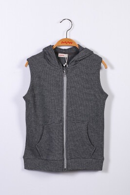 Wholesale Boys Vest with Hooded 5-12Y Zeyland 1070-221Z2LPY22 - 1