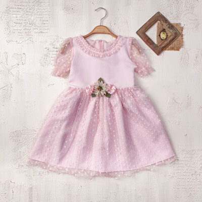 Wholesale Girl Dresses 2-5Y Elayza 2023-2405 Pink