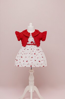 Wholesale Girls 2-Piece Dress Set with Bolero 1-4Y BabyRose 1002-4066 - 2