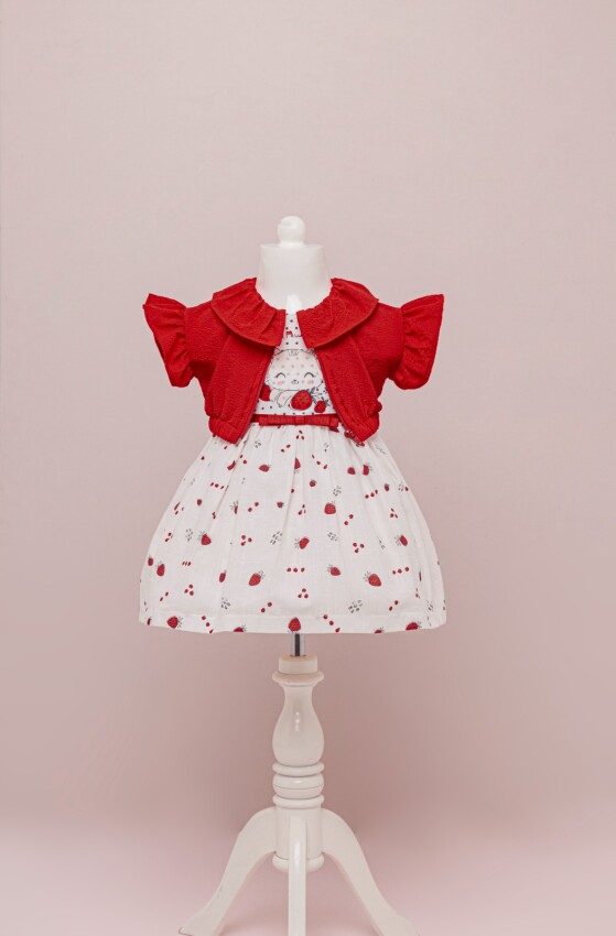 Wholesale Girls 2-Piece Dress Set with Bolero 1-4Y BabyRose 1002-4066 - 2