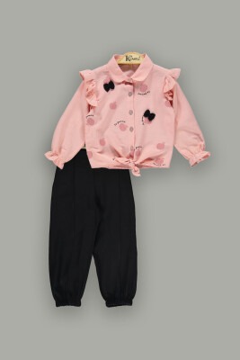 Wholesale Girls 2-Piece Pants Sets with Shirt 2-5Y Kumru Bebe 1075-3866 - 2