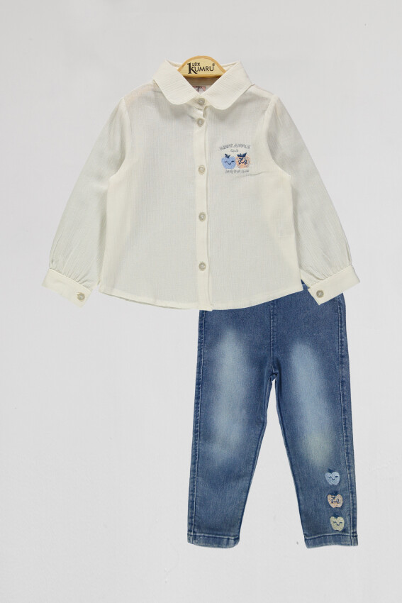 Wholesale Girls 2-Piece Shirts and Denim Pants Set 2-5Y Kumru Bebe 1075-4035 - 3