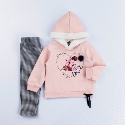 Wholesale Girls 2-Piece Sweatshirt and Pants Set 1-4Y Sani 1068-4960 Light Pink