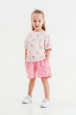 Wholesale Girls 2-Pieces T-shirt and Short Set 2-5Y Tuffy 1099-1257 - Tuffy (1)