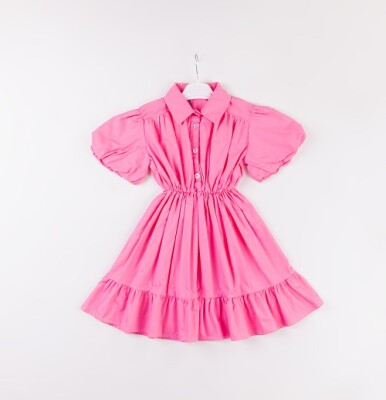 Wholesale Girls Balloon Sleeve Dress 7-10Y Büşra Bebe 1016-24119 Pink