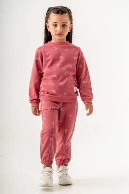 Wholesale Girls Basic Tracksuit Set 2-5Y Tuffy 1099-01095 - Tuffy