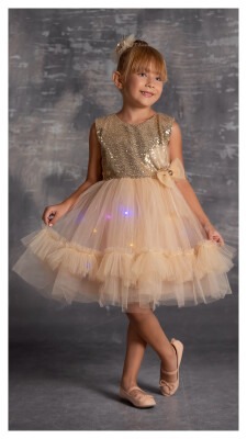 Wholesale Girls Dress with Light 5-8Y Tivido 1042-2339 - Tivido