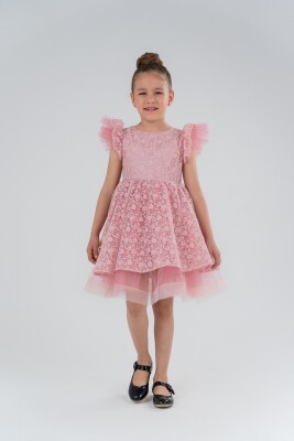 Wholesale Girls Dress with Tulle 3-6Y Eray Kids 1044-9319 Пудра
