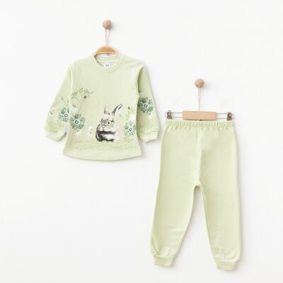 Wholesale Girls Patterned Tracksuit Set 2-4Y Hoppidik 2017-2371 Green