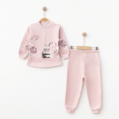 Wholesale Girls Patterned Tracksuit Set 2-4Y Hoppidik 2017-2371 - Hoppidik